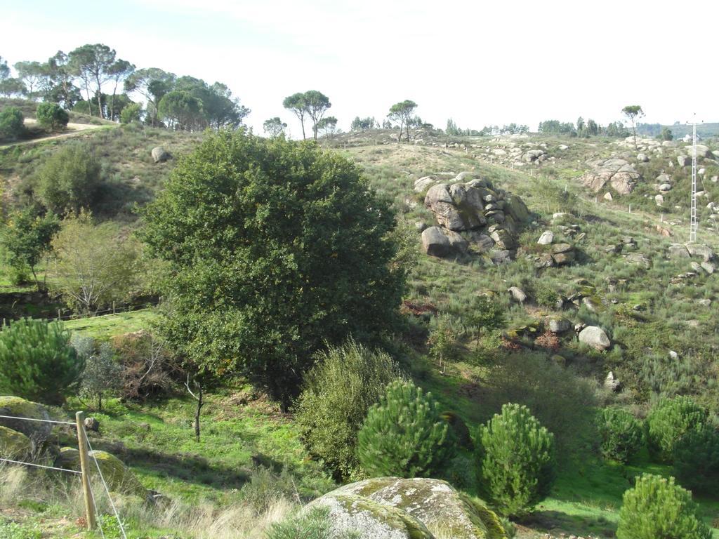 Séjour à la campagne Casa Da Bôcha Cativelos