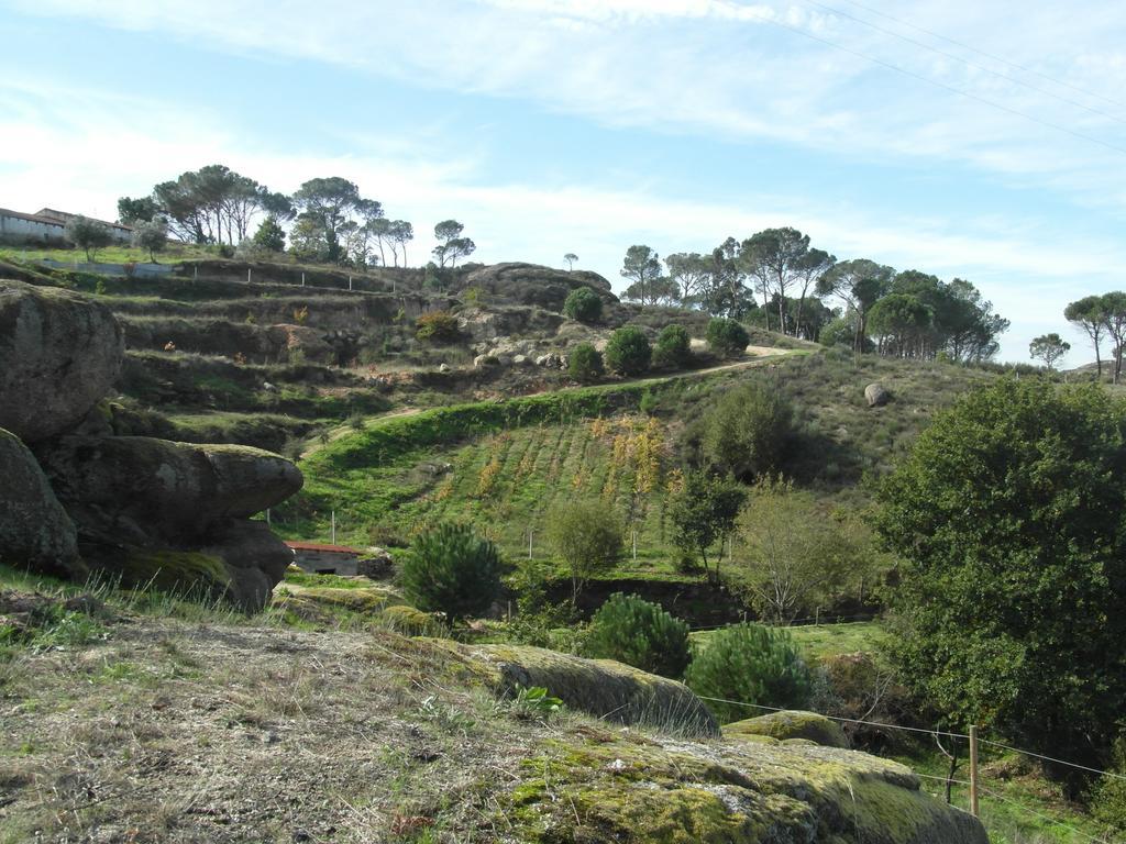 Casa Da Bôcha *